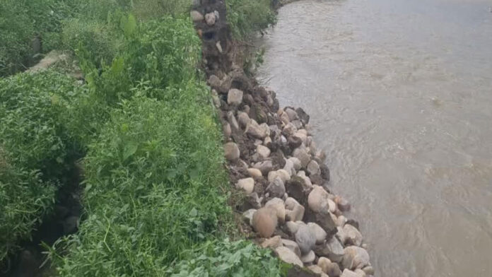 मूसलाधार बारिश के बाद सुसुवा नदी का रौद्र रूप मूसलाधार बारिश के बाद सुसुवा नदी का रौद्र रूप