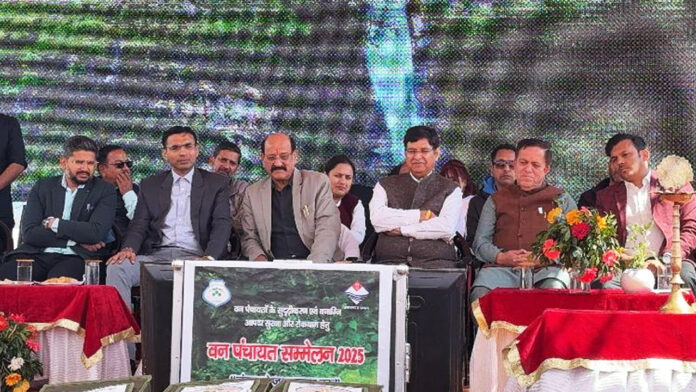 जंगल हमारी आर्थिकी का प्रमुख स्रोत : सुबोध उनियाल जंगल हमारी आर्थिकी का प्रमुख स्रोत : सुबोध उनियाल