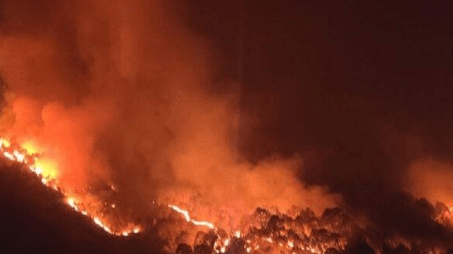 जंगल में लगी भीषण आग, सैकड़ों पेड़ जलकर राख जंगल में लगी भीषण आग, सैकड़ों पेड़ जलकर राख