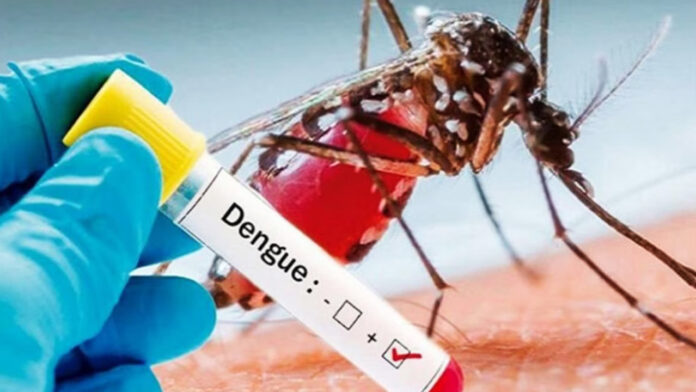 डेंगू संक्रमण के संभावित खतरे को लेकर एक्टिव मोड में स्वास्थ्य विभाग डेंगू संक्रमण के संभावित खतरे को लेकर एक्टिव मोड में स्वास्थ्य विभाग