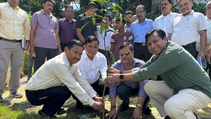 मसूरी-देहरादून विकास प्राधिकरण की हरियाली व सांस्कृतिक संरक्षण की नई पहल मसूरी-देहरादून विकास प्राधिकरण की हरियाली व सांस्कृतिक संरक्षण की नई पहल