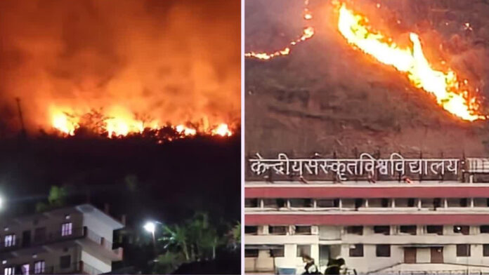 केंद्रीय संस्कृत विश्वविद्यालय परिसर तक पहुंची जंगल की आग केंद्रीय संस्कृत विश्वविद्यालय परिसर तक पहुंची जंगल की आग